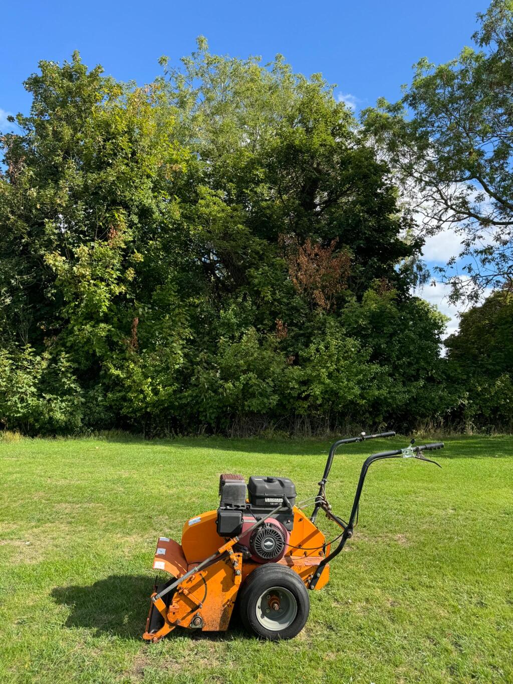 Rotorake